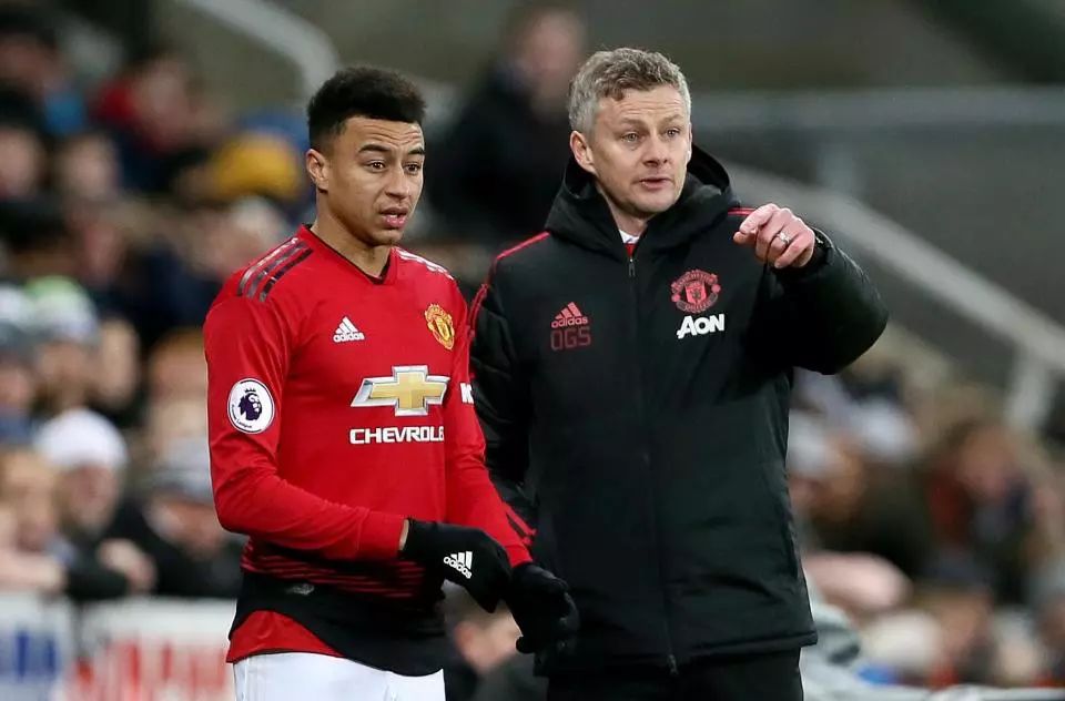 是荷甲此次 是荷甲此次